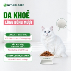 Thức ăn đa đạm cho mèo ECO C1