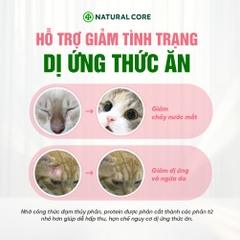 Thức ăn đa đạm cho mèo ECO C1
