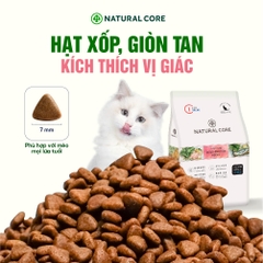 Thức ăn đa đạm cho mèo ECO C1
