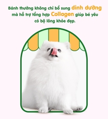 Gân vịt