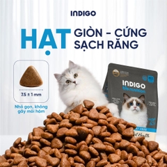 Thức ăn dinh dưỡng chức năng cho mèo kiểm soát búi lông và tăng cường sức khỏe tiêu hóa