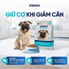 Thức ăn dinh dưỡng chức năng cho chó kiểm soát cân nặng và tăng cường sức khỏe tiêu hóa