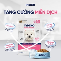 Thức ăn dinh dưỡng chức năng cho chó tăng cường sức khỏe da và tiêu hóa