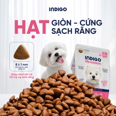 Thức ăn dinh dưỡng chức năng cho chó tăng cường sức khỏe da và tiêu hóa