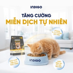 Thức ăn dinh dưỡng chức năng cho mèo con tăng cường sức khỏe tiêu hóa