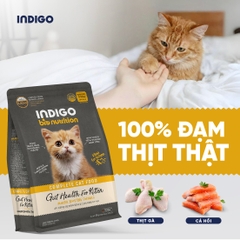 Thức ăn dinh dưỡng chức năng cho mèo con tăng cường sức khỏe tiêu hóa