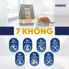 Thức ăn dinh dưỡng chức năng cho mèo con tăng cường sức khỏe tiêu hóa