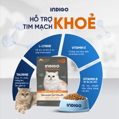 Thức ăn dinh dưỡng chức năng cho mèo tăng cường sức khỏe tiết niệu và tiêu hóa