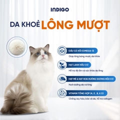 Thức ăn dinh dưỡng chức năng cho mèo tăng cường sức khỏe tiết niệu và tiêu hóa