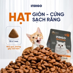 Thức ăn dinh dưỡng chức năng cho mèo tăng cường sức khỏe tiết niệu và tiêu hóa