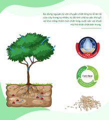 Cát vệ sinh hữu cơ vón cục siêu thấm hút và kháng khuẩn Cat's Best Sensitive