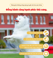 Xúc xích phô mai Bowwow