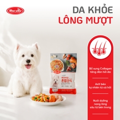 Snack hỗn hợp cho chó