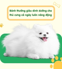 Thịt cuộn sụn thỏ
