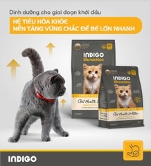 Thức ăn dinh dưỡng chức năng cho mèo con tăng cường sức khỏe tiêu hóa