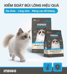 Thức ăn dinh dưỡng chức năng cho mèo kiểm soát búi lông và tăng cường sức khỏe tiêu hóa