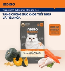 Thức ăn dinh dưỡng chức năng cho mèo tăng cường sức khỏe tiết niệu và tiêu hóa
