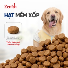 Thức ăn hạt mềm Zenith chó giống lớn