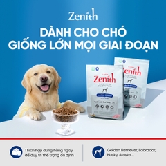 Thức ăn hạt mềm Zenith chó giống lớn