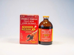 BEXAN XP 100ml - Vitamin B Injection