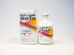 GILLO LP LAMPAM