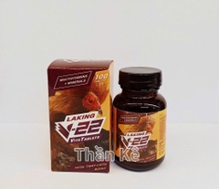 MUTIVITAMIN + MINERALS V22 Tablet