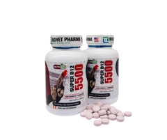 SUPER B12 5500 BIOVET PHARMA