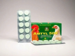 AMTYL 500