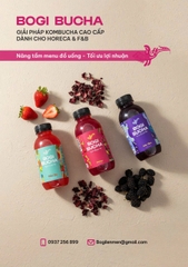 [SET 6 CHAI] BOGI BUCHA KOMBUCHA CHAI 330ML