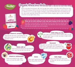 Bột quả mọng Organic Vivaciuos Red - Hỗn hợp 12 loại bột trái cây và quả mọng hữu cơ RAWGANIQ 100g