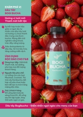 [SET 6 CHAI] BOGI BUCHA KOMBUCHA CHAI 330ML