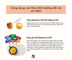 Men dinh dưỡng hữu cơ Dragon Superfoods 100g
