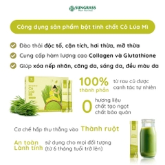 Bột nước ép Cỏ lúa mì Sungrass - Hộp 15 gói
