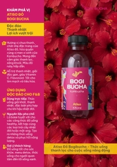 [SET 6 CHAI] BOGI BUCHA KOMBUCHA CHAI 330ML