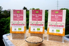 Mè trắng hữu cơ AnBiO 200g