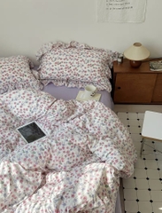 COTTON ĐŨI- đũi đậu viền bèo