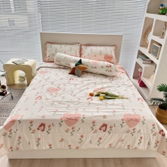 SET CHĂN CHẦN- Set chăn chần xơ đậu 5 món