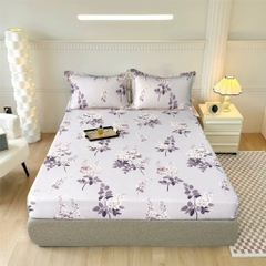 GA GỐI LẺ- phi lụa thái