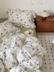 COTTON ĐŨI- đũi đậu viền bèo