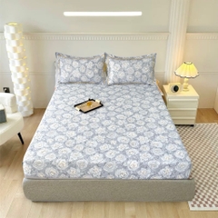 GA GỐI LẺ- phi lụa thái