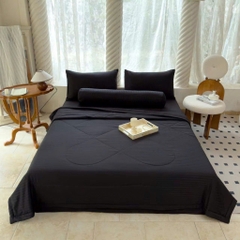 SET CHĂN CHẦN- Set chăn chần 3F