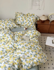 COTTON ĐŨI- đũi đậu viền bèo