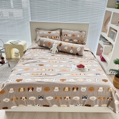 SET CHĂN CHẦN- Set chăn chần xơ đậu 5 món