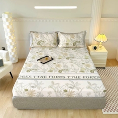 GA GỐI LẺ- phi lụa thái