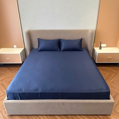 GA GỐI LẺ- Set ga gối lẻ Lụa 60s