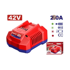 Cục sạc pin P42M hiệu suất cao - EFCR42021