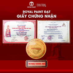 Sơn Xịt XIIT màu XingFa, Sơn XingFa Xịt Nguyên Liệu Ngoại Nhập Đủ Màu, Bền Màu, Nhanh Khô, Chất Lượng Tuyệt Hảo 400ml