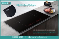 Bếp từ đôi GrandX IH666Plus -  Nhập Malaysia