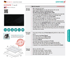 Bếp từ Grandx GX IP669SE Series 6 Malaysia - Bridge Inverter