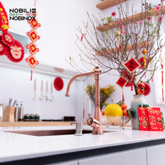 Vòi rửa bát Nobili Charlie NB255C - Tuscany Red PVD | Italy